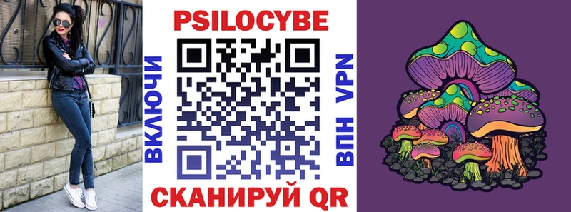 Псилоцибиновые грибы мухоморы  где купить   Тамбов 