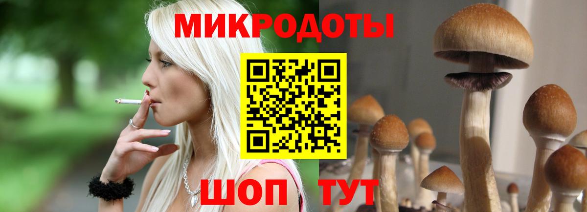 Галлюциногенные грибы прущие грибы  Вход с VPN  Тамбов  Галлюциногенные грибы GOLDEN TEACHER 